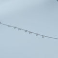 Silver Dewdrop Station Bracelet