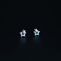 Silver Star Studs